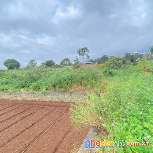 Bán 2 lô đất hẻm quốc lô 20, hiệp an đức trọng