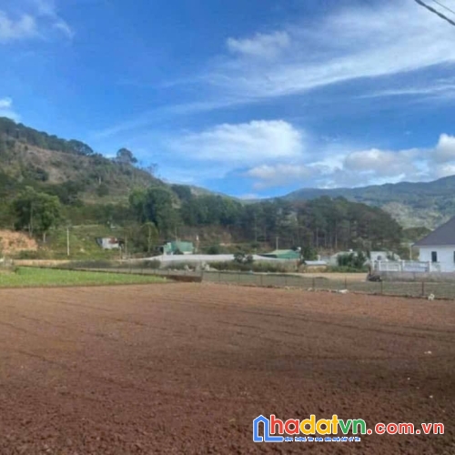 Bán 2 lô đất hẻm quốc lô 20, hiệp an đức trọng