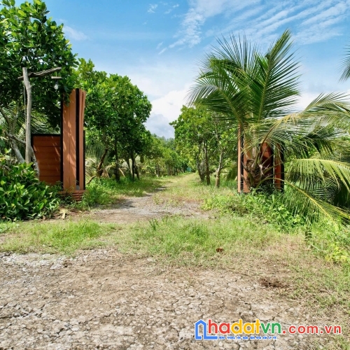 Bán lô vườn view đẹp tại la ngà, định quán