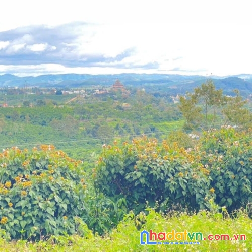 1ha đất thiện chí, ninh gia đức trọng, lâm đồng