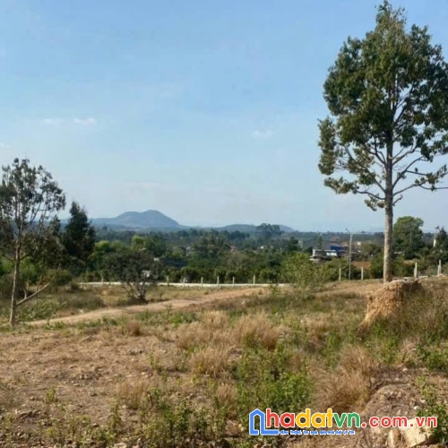 Hơn 1ha đất hẻm thiện chí ninh gia đức trọng view bao đẹp chỉ 15 tỷ