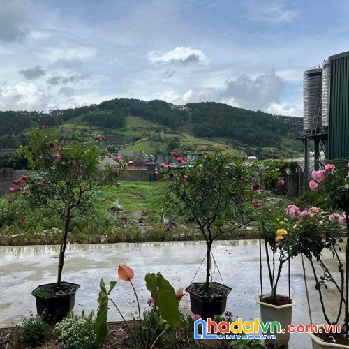 Đất nghỉ dưỡng hiệp an đức trọng, lâm đồng