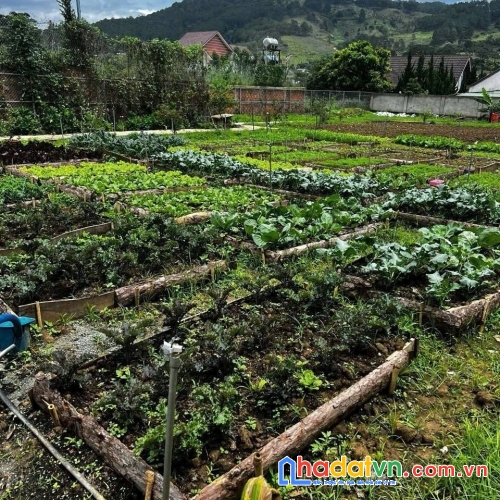 Đất nghỉ dưỡng hiệp an đức trọng, lâm đồng