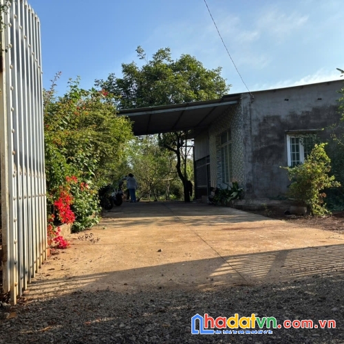 Siêu phẩm đất vườn 3.700m² – chính chủ bán gấp chỉ 1,9 triệu/m² 