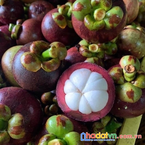 Siêu phẩm đất vườn 3.700m² – chính chủ bán gấp chỉ 1,9 triệu/m² 