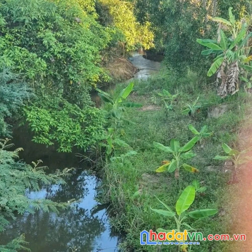 Siêu phẩm đất vườn 3.700m² – chính chủ bán gấp chỉ 1,9 triệu/m² 