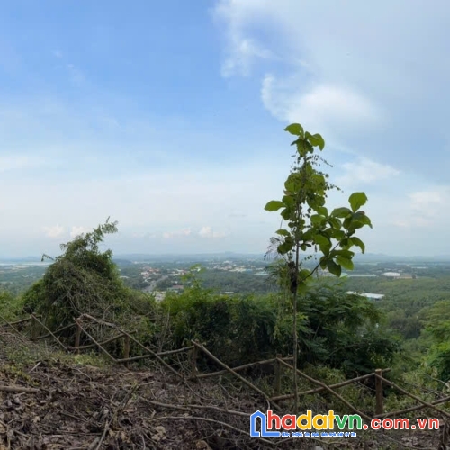 Chính chủ bán gấp đất tại la ngà, gần hồ trị an rộng 1000m2, đường đẹp, ô tô vào tận đất
