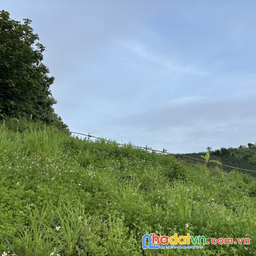 Chính chủ bán gấp đất tại la ngà, gần hồ trị an rộng 1000m2, đường đẹp, ô tô vào tận đất
