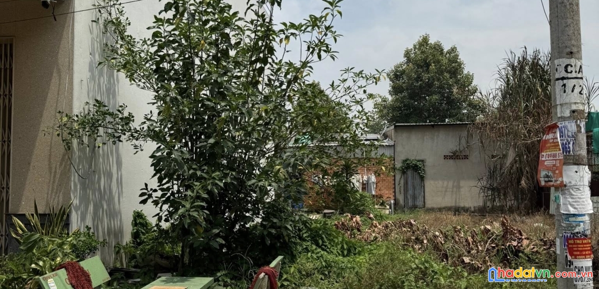 Bán nền mặt tiền chợ an châu, châu thành, an giang 80m2 giá 2 tỷ