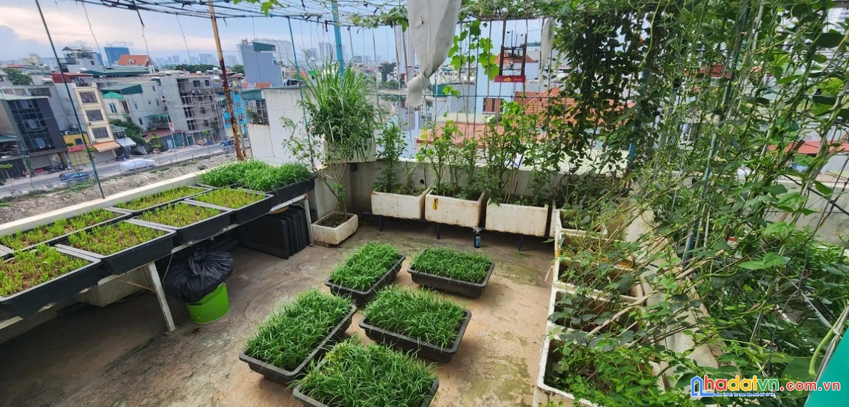 Bán nhà 55m2 x 5 tầng, giá 9.9 tỷ, ngõ nông ô tô, ngọc hồi, hoàng mai