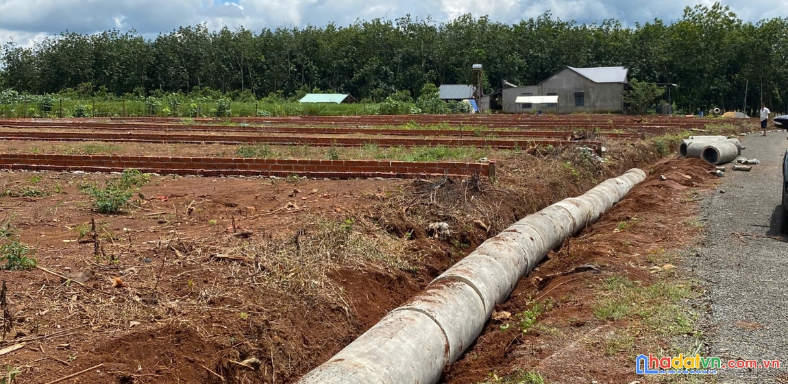 Đất trung tâm long hà – dân cư đông đúc, đầu tư an toàn 