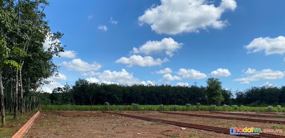 Đất trung tâm long hà – dân cư đông đúc, đầu tư an toàn 