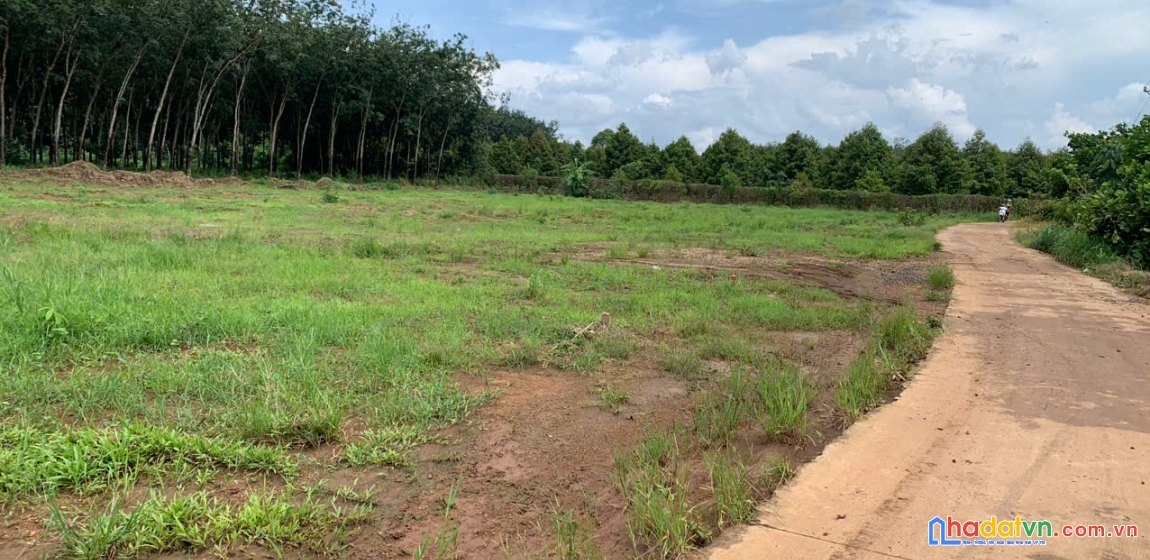 Đất nền giá tốt long hà – sổ riêng, sang tên trong ngày 