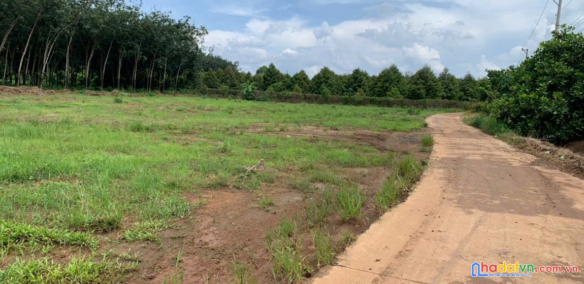 Bán nhanh đất thổ cư long hà – pháp lý rõ ràng, hỗ trợ vay 