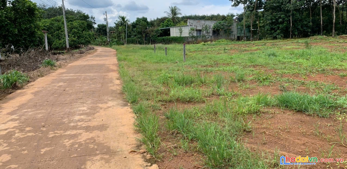 Bán nhanh đất thổ cư long hà – pháp lý rõ ràng, hỗ trợ vay 