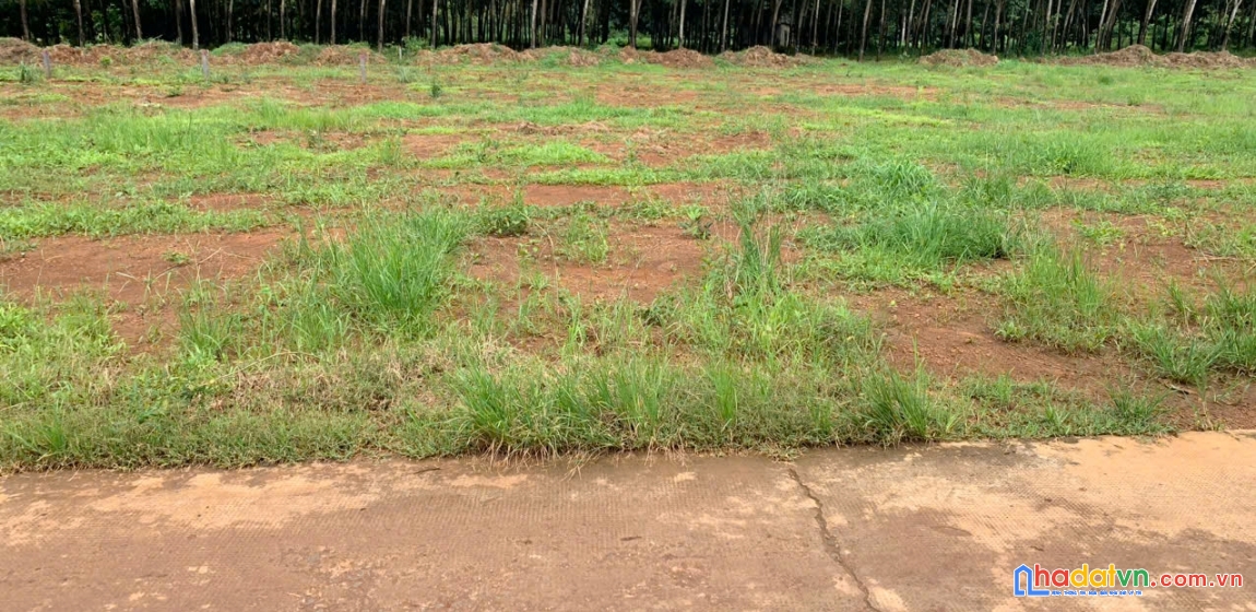 Bán nhanh đất thổ cư long hà – pháp lý rõ ràng, hỗ trợ vay 