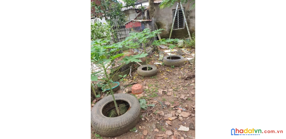 Bán đất phú diễn. bắc từ liêm. lô góc. ô tô. dt 62m2. mt 6m. giá 9,88 tỷ.
