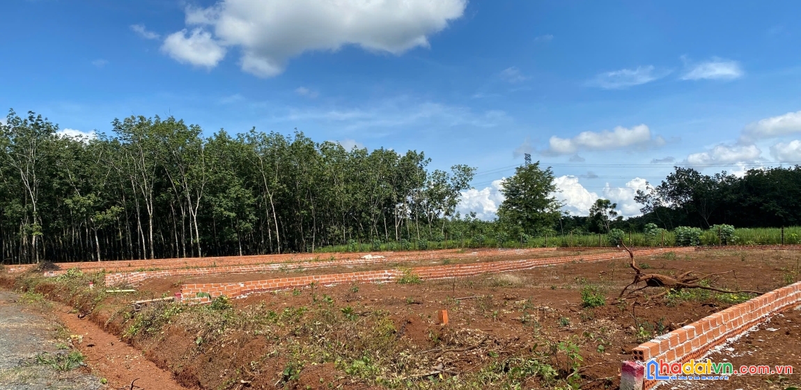 📊 cơ hội đầu tư đất long hà – 370m², giá tốt, sinh lời cao 📊