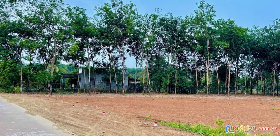 🔑 đầu tư ngay đất vàng long hà – tiềm năng tăng giá nhanh 