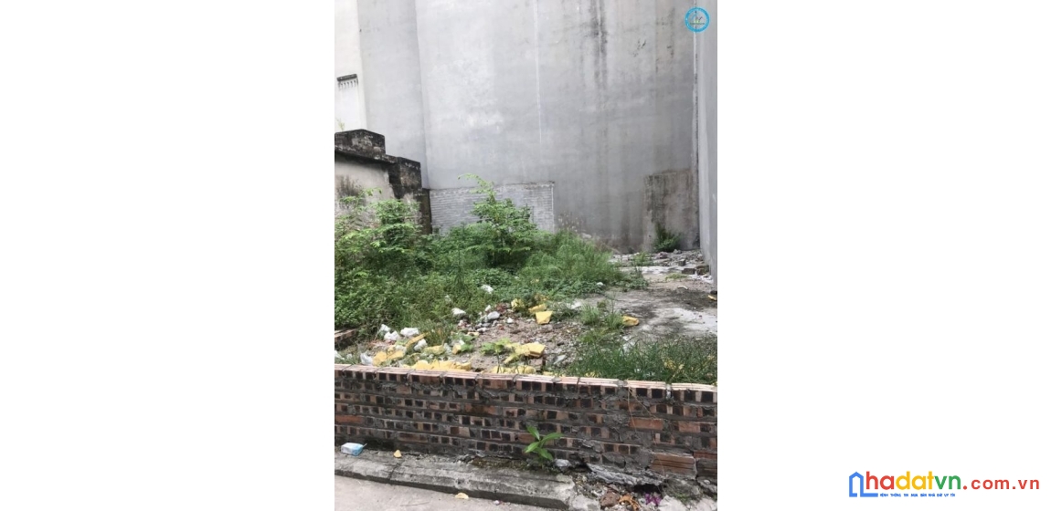 Bán đất trâu quỳ/gia lâm 43m2 mtien 4m đường nhựa oto thông ngô xuân quảng,khu 31ha