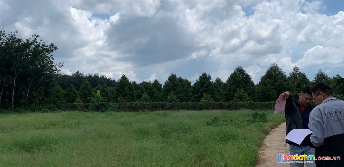 🚀 mua đất ngay chỉ với 120 triệu – long hà, phú riềng 🚀