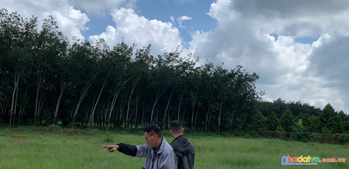 🚀 mua đất ngay chỉ với 120 triệu – long hà, phú riềng 🚀