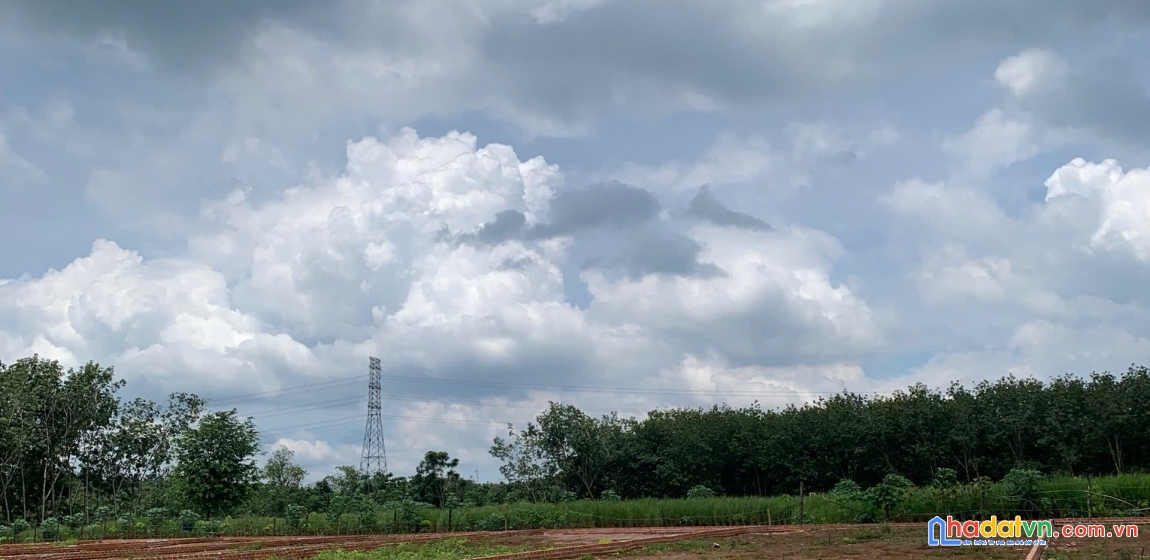 Đất đẹp long hà – phú riềng 370m²