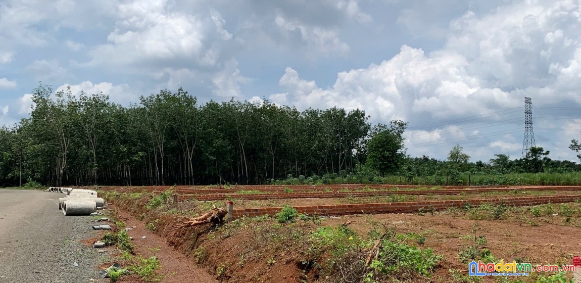 Đất đẹp long hà – phú riềng 370m²