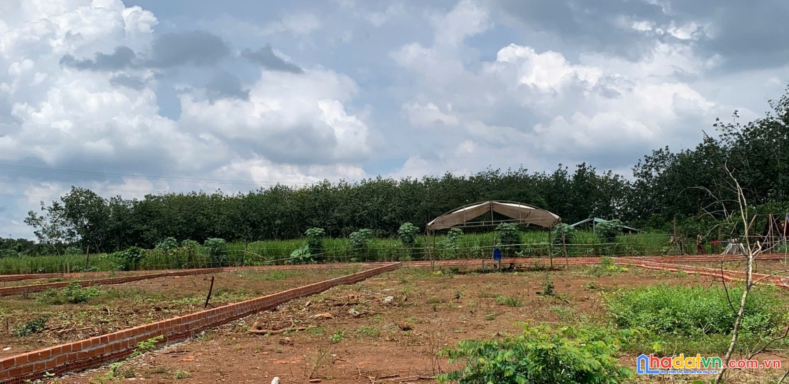 Đất đẹp long hà – phú riềng 370m²