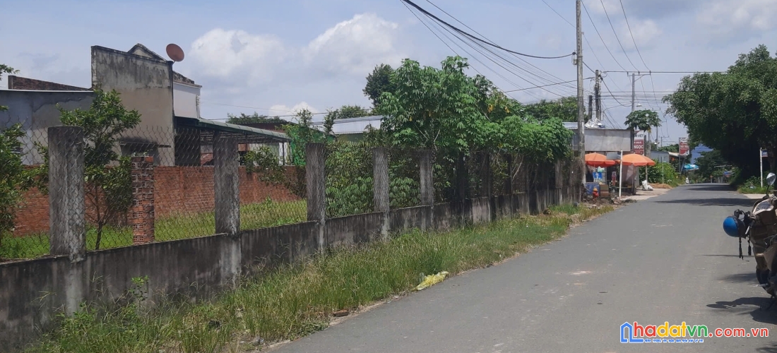 Bán đất mặt tiền 100m2 odt nguyễn tri phương