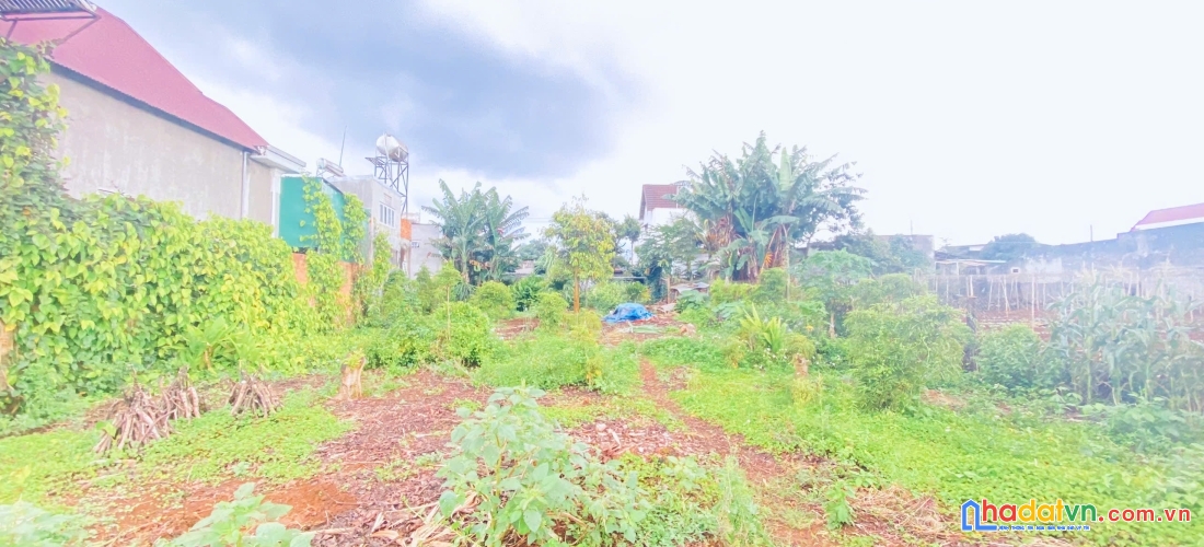 Đất víp mặt tiền trần bình trọng, trung tâm đức trọng, lâm đồng