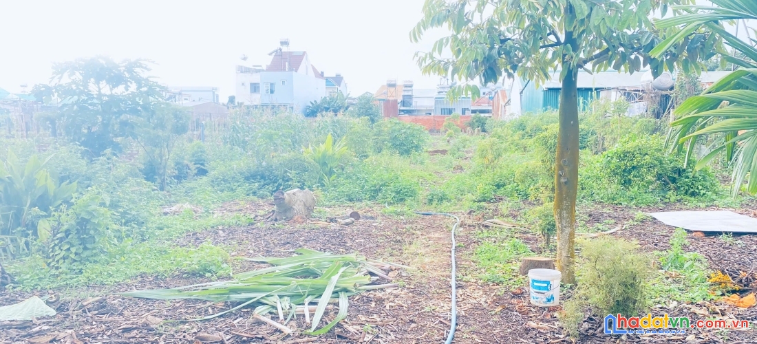 Đất víp mặt tiền trần bình trọng, trung tâm đức trọng, lâm đồng