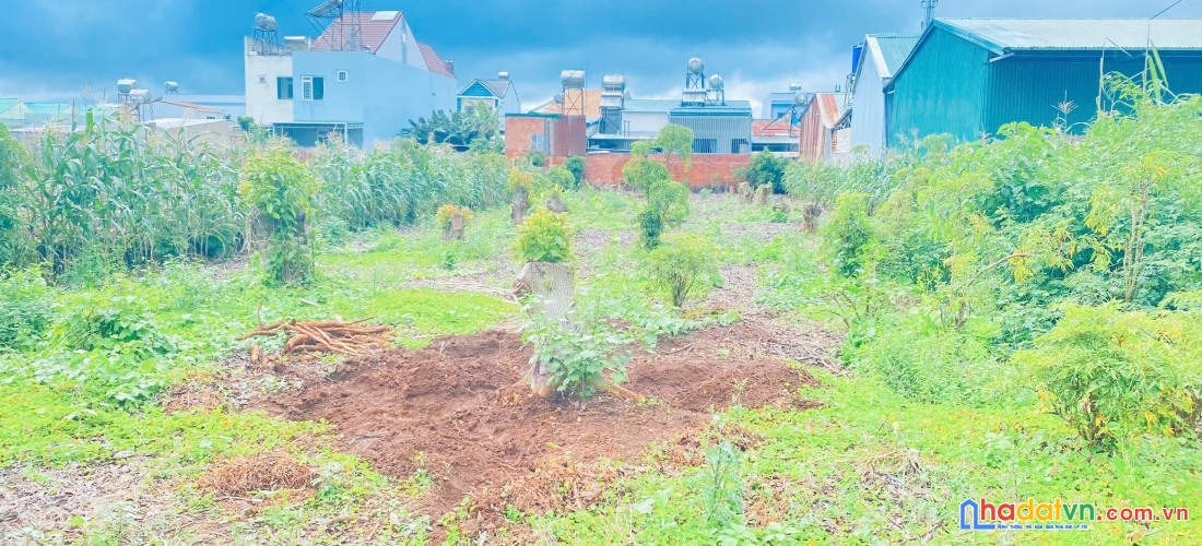 Đất víp mặt tiền trần bình trọng, trung tâm đức trọng, lâm đồng