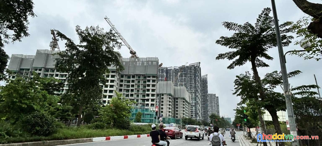 Bán đất phố thành trung,trâu quỳ,gia lâm, đường nhựa oto, 55m2,vuông 1 nhà ra phố