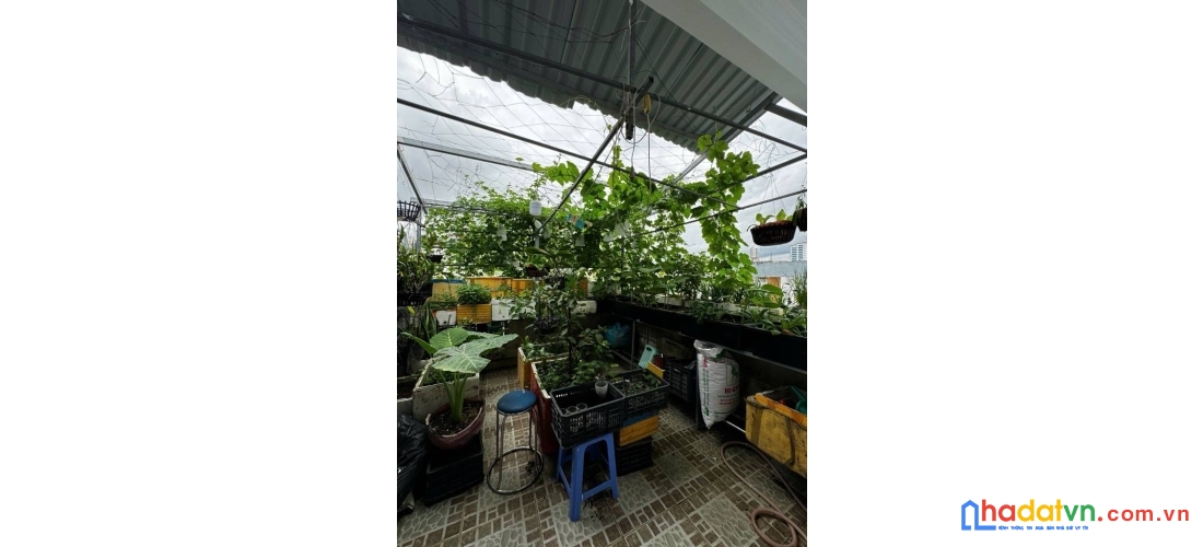 Cư xá đô thành - chdv 8 phòng - hẻm xe hơi - 5 tầng btct - 40.5/43m2 - 9.x tỷ