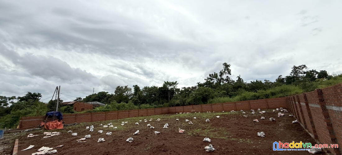 Bán 2400 m2 đất tmdv sổ sẵn - đối diện khu đô thị ân phú