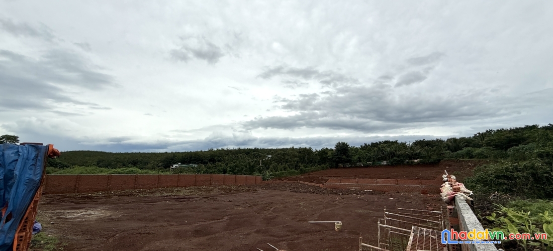 Bán 2400 m2 đất tmdv sổ sẵn - đối diện khu đô thị ân phú