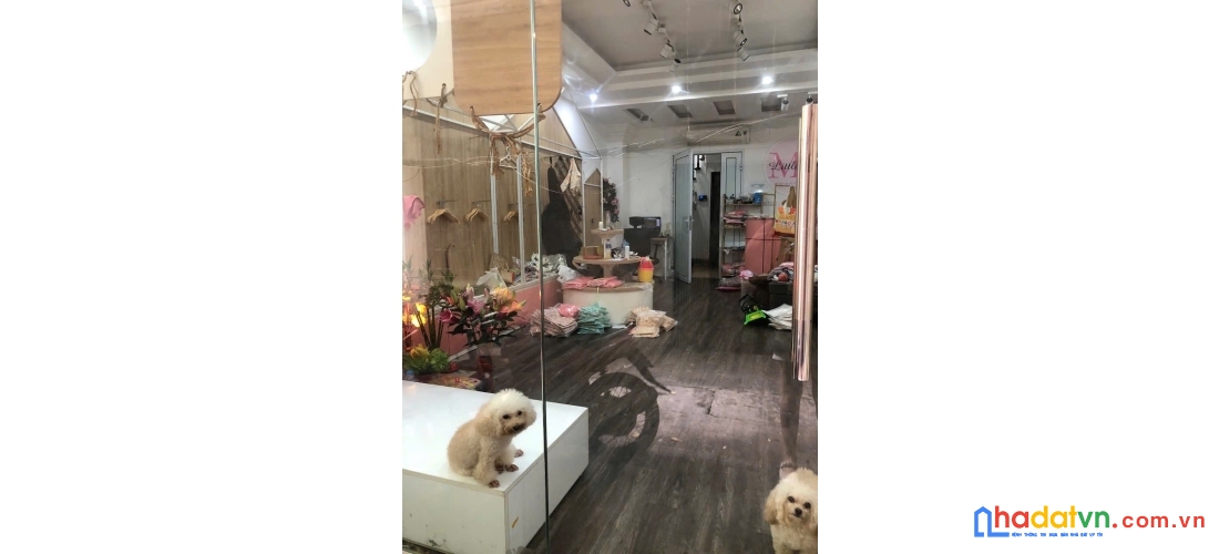 Bán nhà phố thái hà, đống đa 56m, 6 tầng. giá: 20.5 tỷ. lh: 0937158386