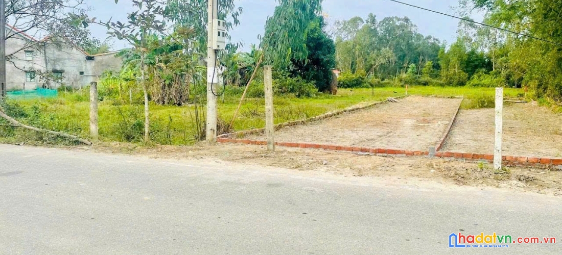 Thái sơn đường nhựa – 175m² chỉ 8xx triệu – cơ hội vàng! 🌟