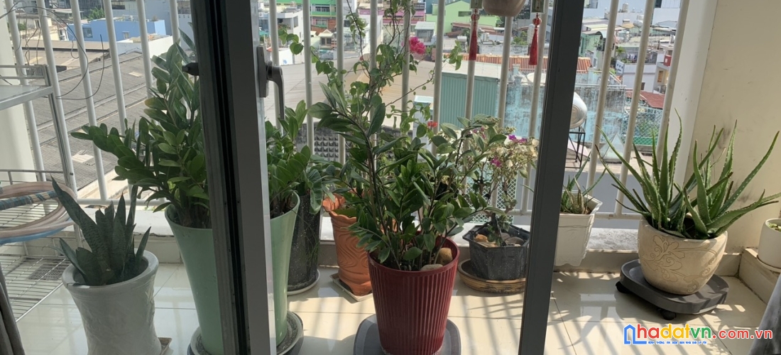 Bán căn hộ 3pn khuông việt cách đầm sen chỉ 1 phút – đã có sổ hồng