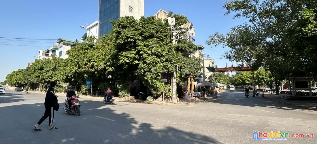 Bán đất trâu quỳ/gia lâm 39m2 mtien 6m đường nhựa oto thông, vị trí đắc địa kinh doanh