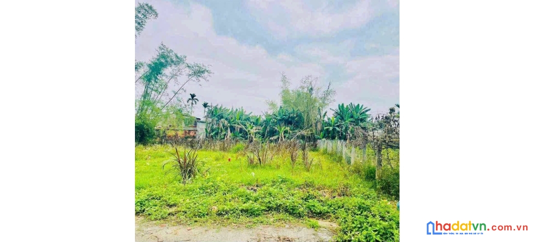 Đất điện bàn - chính chủ bán gấp lô đất nhà vườn ~190m² chỉ 7xx triệu
