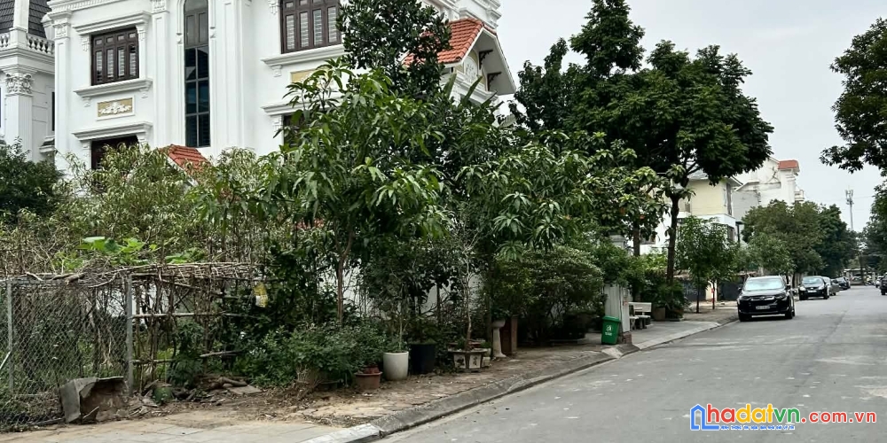 Bán đất biệt thự khu đấu giá 31ha trâu quỳ/gia lâm 236m2 đường to vị trí đẹp kinh doanh