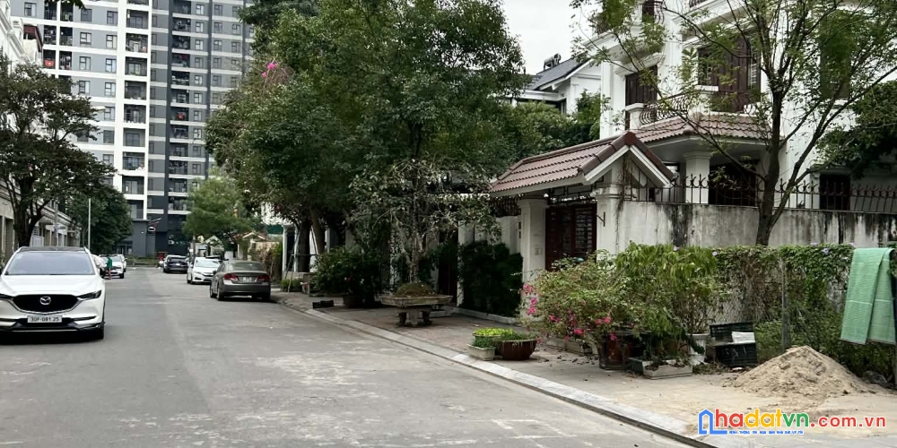 Bán đất biệt thự khu đấu giá 31ha trâu quỳ/gia lâm 236m2 đường to vị trí đẹp kinh doanh