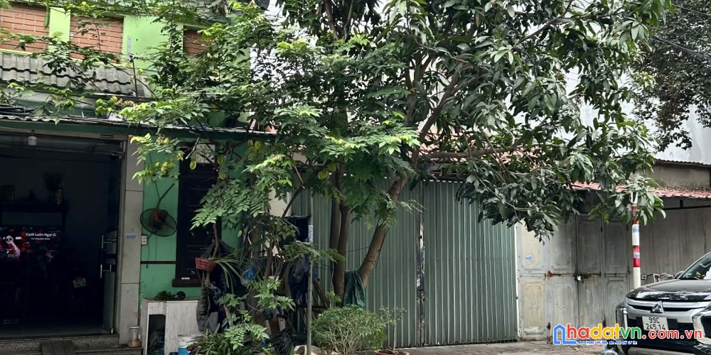 Bán đất biệt thự khu đấu giá 31ha trâu quỳ/gia lâm 236m2 đường to vị trí đẹp kinh doanh