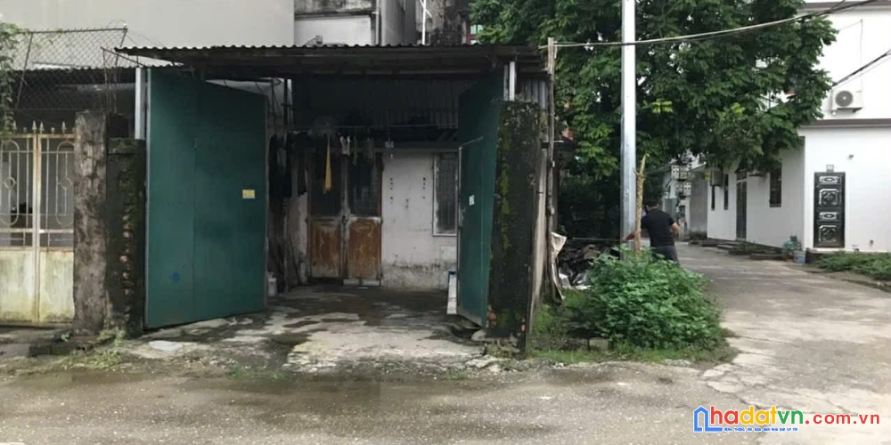 Bán nhanh bđs dòng tiền lô góc trung tâm trâu quỳ/gia lâm 60m2 vuông