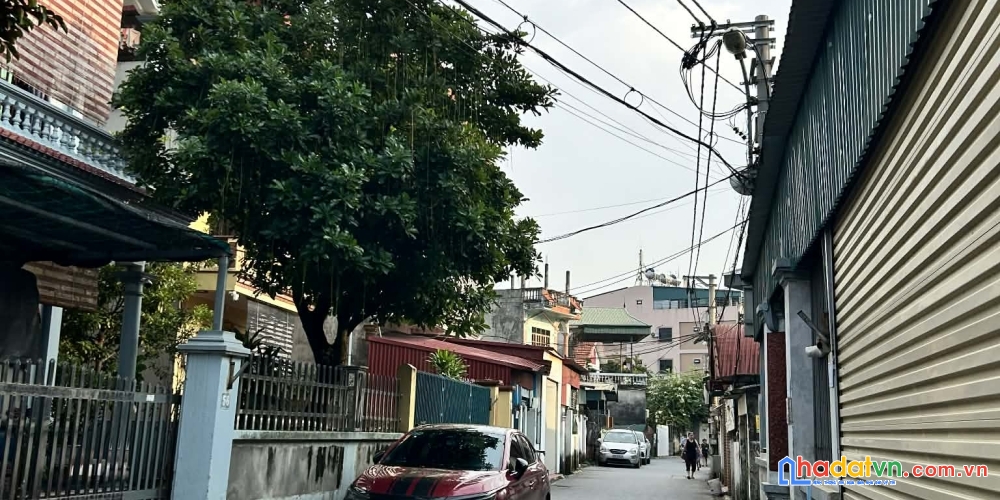 Bán nhanh bđs dòng tiền lô góc trung tâm trâu quỳ/gia lâm 60m2 vuông
