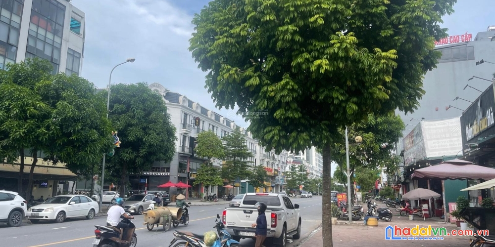 Bán đất tái định cư trâu quỳ/gia lâm, vị trí đẹp view vườn hoa,giá đầu tư thanh khoản tốt