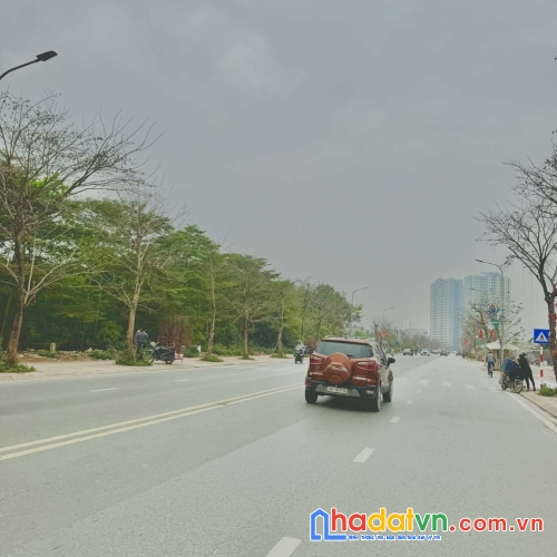 Cho thuê biệt thự mặt phố thành trung/trâu quỳ 200m2 đường 30m view hồ,công viên