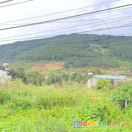 Tổng 4200m2 đất mặt tiền ql20, hiệp an đức trọng, lâm đồng